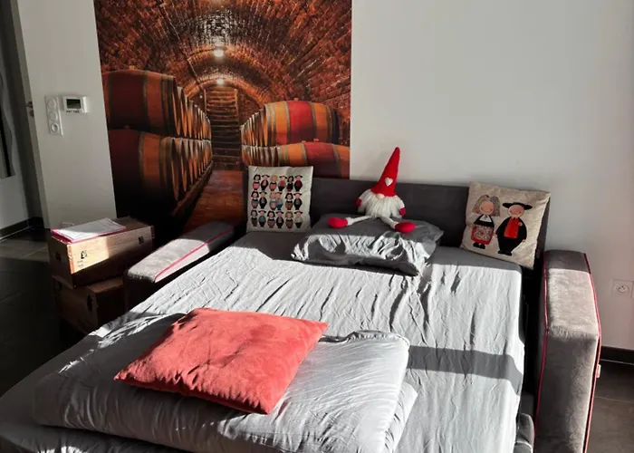 Le Riesling Colmar Centre Charmant Appartement Avec Terrasse Et Parking Gratuit